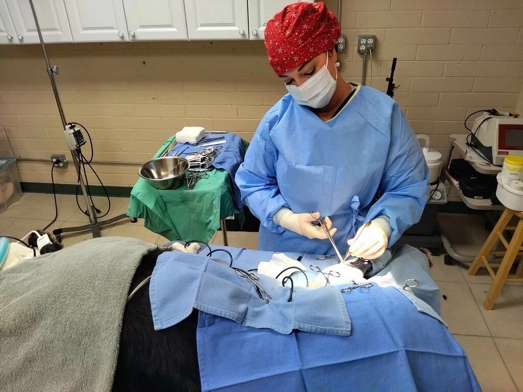 Advanced Orthopedic Surgery