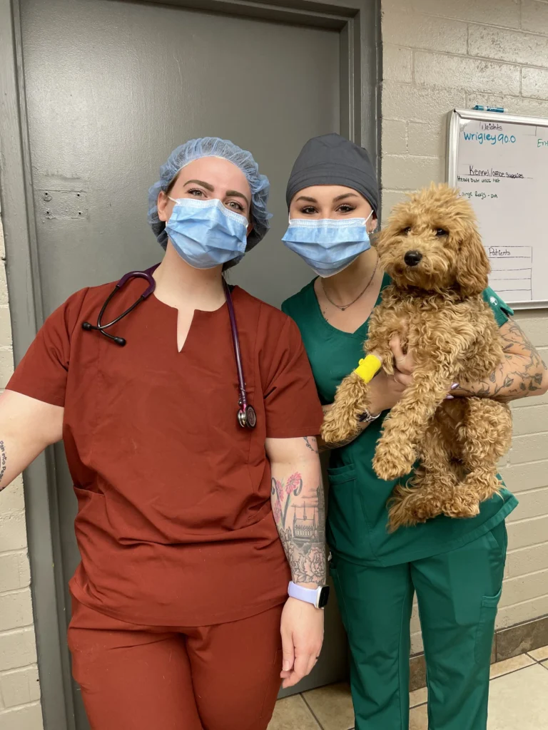 img Blue Valley Animal Hospital